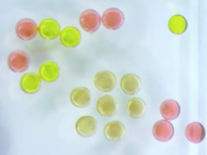 撒羅滿:伯克利科學家3D打印液體磁性設備 撒羅滿:伯克利科學家3D打印液體磁性設備